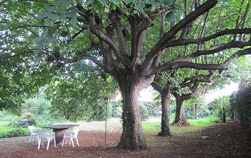 Jardín